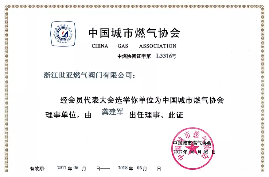 中国城市燃气协会